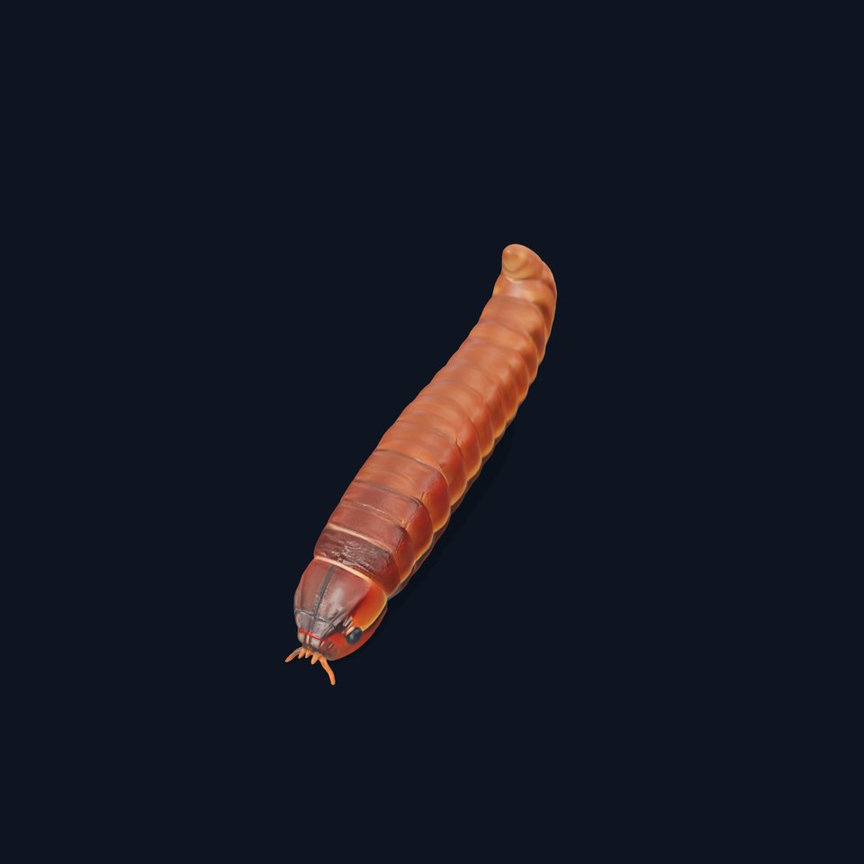 Realistic Millipede Model Pack for Animations and Games